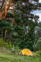camping with tent in forest