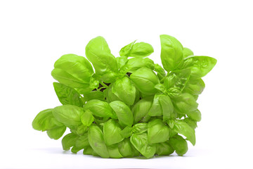 Basilico su sfondo bianco 