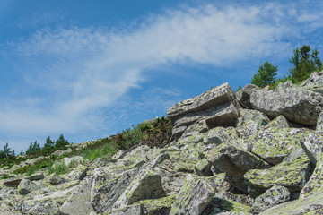 Natural landscape- alpine meadows Taganay