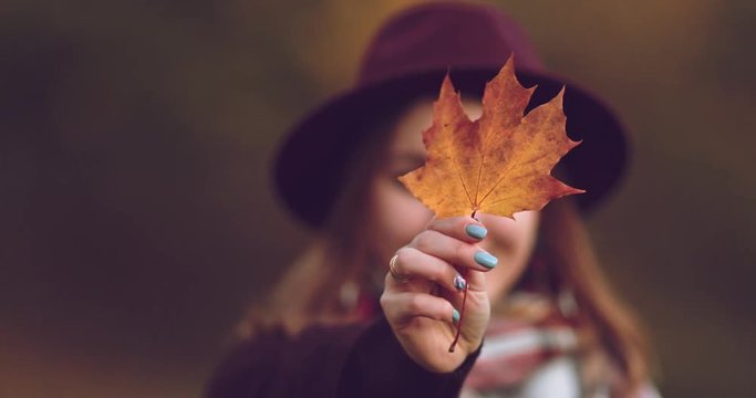 Young Woman Showing Colourful Autumn Leaf to the Camera. SLOW MOTION 4K. Unrecognizable millennial girl holding orange and yellow maple leaf in front of her. Cinematic fall shot.