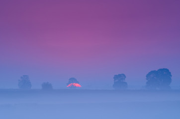 SUNRISE - The sun and mist in morning