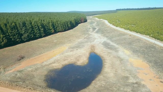 Drone shot of small dry catchment dam in cleared area of commercial forest