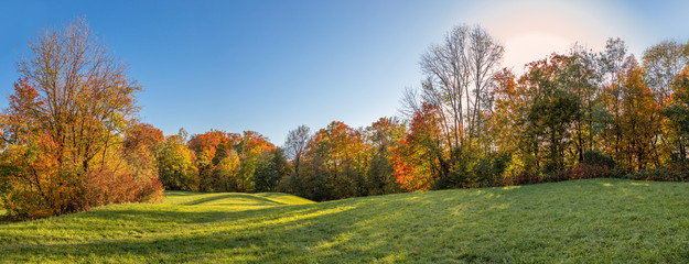Farbenfrohe Herbstlandschaft, Wiese mit Bäumen und bunten Blättern, Panorama