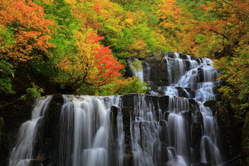 紅葉の立又渓谷　二の滝