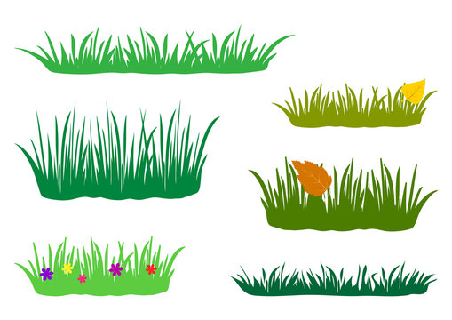 Fragments of spring, summer and autumn grass. Set of design elements of nature. Colored flat set, isolated on white background. Vector illustration.