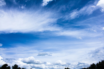 Blue sky with feather clouds background