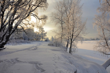 Obraz na płótnie Canvas Frosty winter day