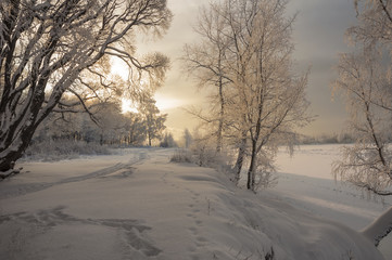 Frosty winter day