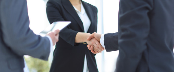 Businesswoman shaking hands with a businssman during a meeting