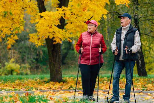 Pretty Senior Couple Standing With Nordic Walking Poles In Colorful Autumn Park. Mature Woman And Old Man Resting Outdoors.