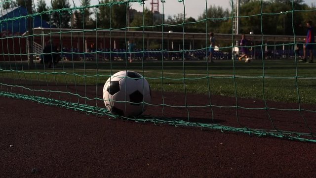 Soccer ball in gate on green grass playground.
