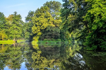 Fototapeta na wymiar Summer urban landscape. Beautiful pond and green trees in the castle park in Pszczyna, Poland.