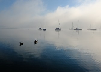 Fototapeta na wymiar foggy morning landscape / scenics / sailing / boat / early / lake