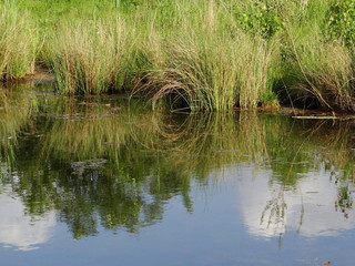 Am Wasser
