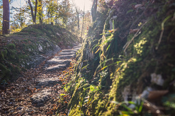 Alter Weg - Römerweg