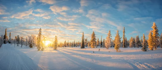 Wall murals Winter Photo of a snowy panoramic landscape at sunset, frozen trees in Saariselka, Lapland, Finland, winter snow scene web banner