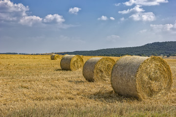 Fototapeta premium Hay bales on the field after harvest