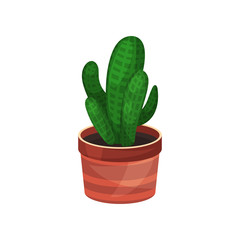  actus houseplant, green potted plant vector illustration