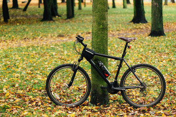 Fototapeta premium Bicycle in colorful autumn park. Fall season background