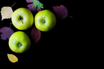 Green apples isolated on a black background, free space.