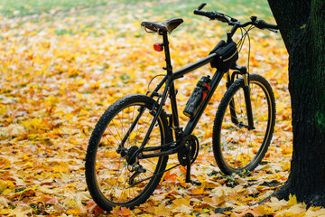 Naklejka premium Bicycle standing on sports ground in colorful autumn park. Fall season background