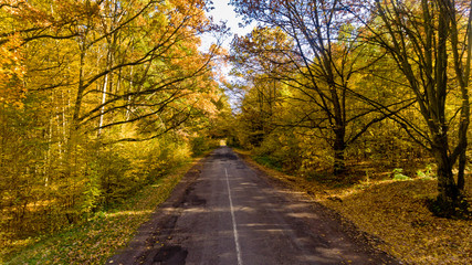 Pathway in the bright autumn forest. Aerial view.