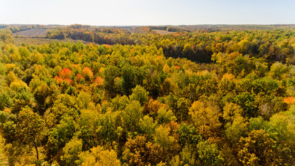 Aerial view of the colorful autumn forest.