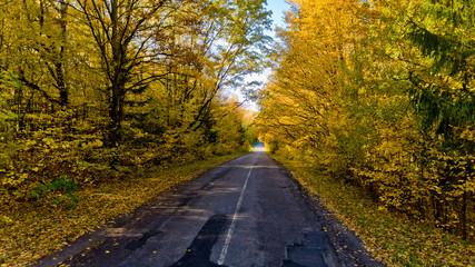Pathway in the bright autumn forest. Aerial view.