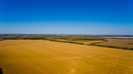 Fototapeta na wymiar Autumn landscape: blue sky, colorful trees, yellow fields. Aerial view.