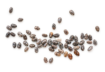Closeup macro of small organic chia seeds isolated on a white background