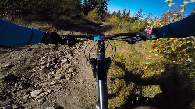 POV Mountain biker cycling in autumn mountains forest landscape. Man cycling MTB flow trail track. Outdoor sport activity.