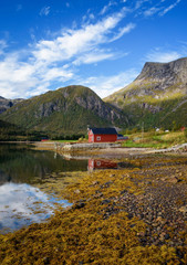 Fototapeta na wymiar Traditional red rorbu cottages at the sea on Lofoten islands in Norway