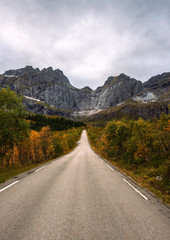 Scenic road on Lofoten islands in Norway on a sunny autumn day