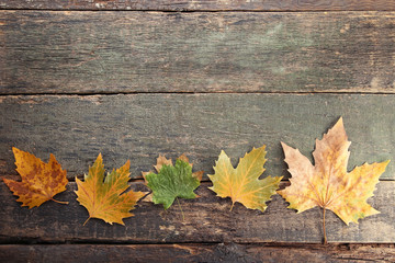 Naklejka na ściany i meble Autumn leafs on wooden table