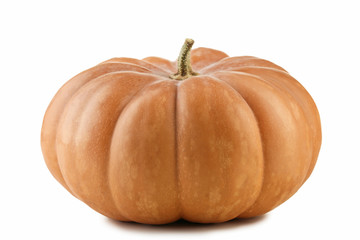 Orange pumpkin isolated on a white background