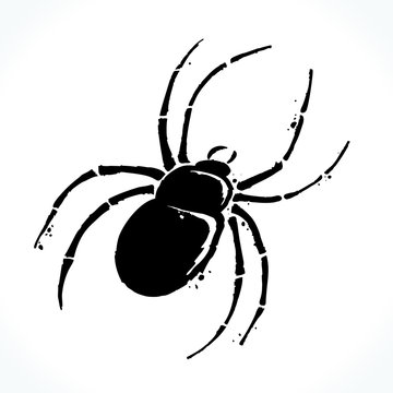 Hand drawn picture of spider silhouette isolated on white background. Template for Halloween design. Vector illustration.