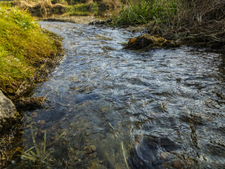 little river. stream © Stanislav