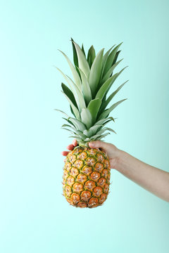 Female hand holding ripe pineapple on mint background
