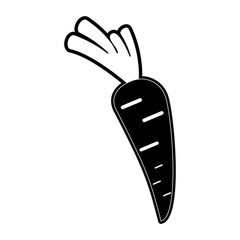 Carrot fresh vegetable icon vector illustration graphic design