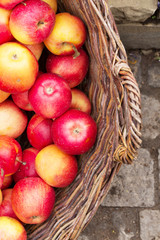 Basket with apples, apples, pattern, garden, autumn, crop, vertical, soft selective focus