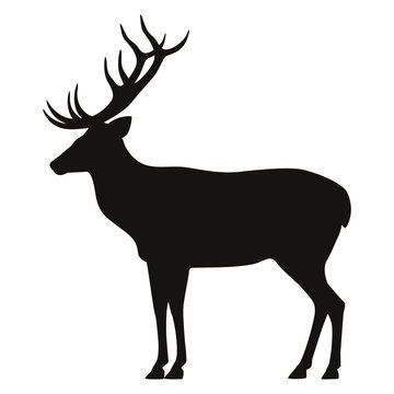 Vector black silhouette horned deer icon side view