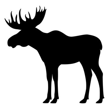 Vector black silhouette moose with horns