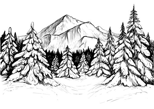 Winter forest in mountains, sketch. Vector hand drawn illustration of snowy firs and mountain peak.