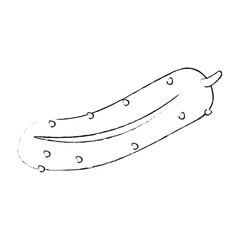 Cucumber fresh vegetable icon vector illustration graphic design