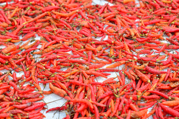 Fototapeta premium Red dry chilli food concept.