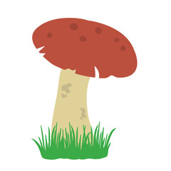 Mushrooms in the grass. Colored vector illustration