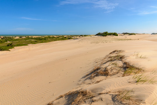 Vista das Dunas de Ita&uacute;nas, Concei&ccedil;&atilde;o da Barra, Esp&iacute;rito Santo, Brasil.