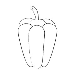 Pepper fresh vegetable icon vector illustration graphic design