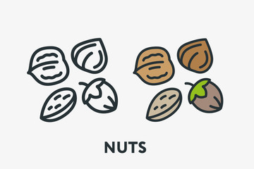 Nuts Vegetarian Concept. Hazelnut, Almond, Peanut, Walnut Minimal Flat Line Outline Colorful and Stroke Icon Pictogram