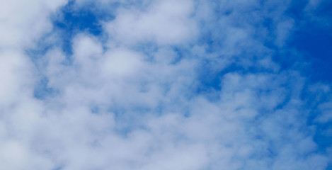 Obraz premium white cloud with blue sky.